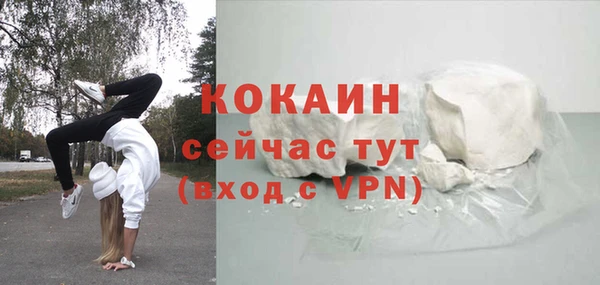дживик Алзамай