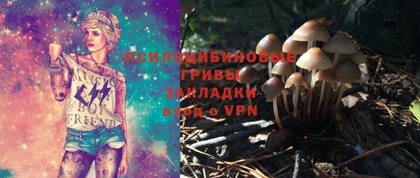 сатива Алексин