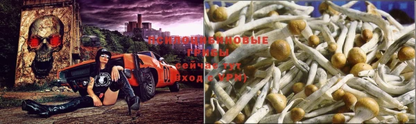 экстази Алексеевка