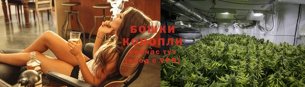 сатива Алексин